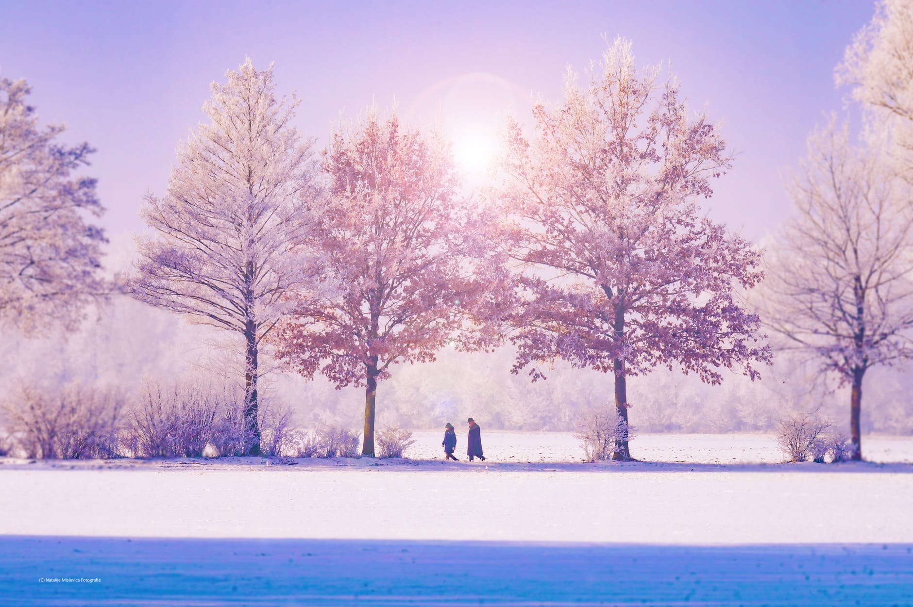 Paysage d'hiver neigeux avec des arbres et deux personnes qui se promenent