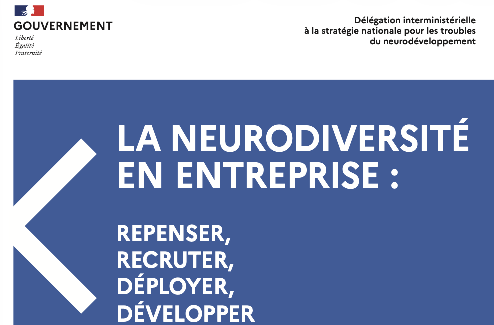 couverture du guide dédié à l'emploi de la DI-TND