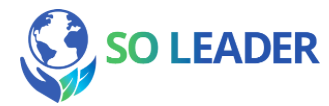 Logo Soleader